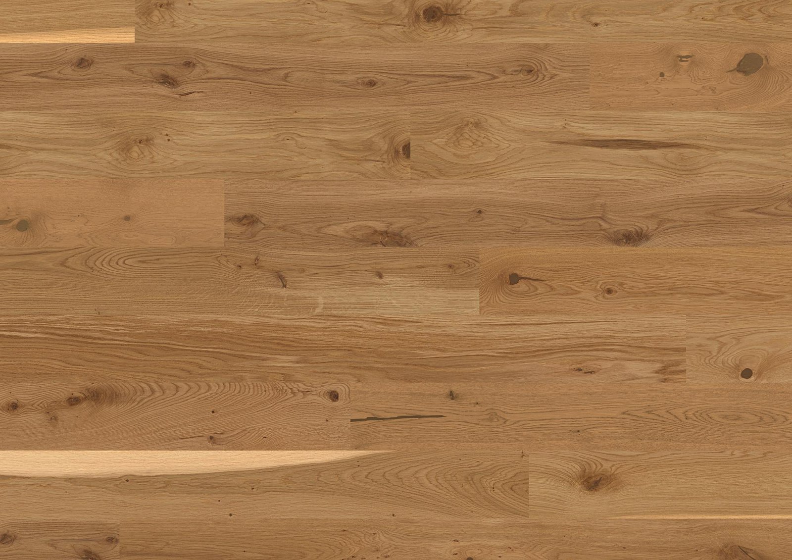 Trendpark 1390 | Chêne | Nature