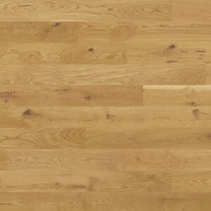 Studiopark | Chêne | Nature