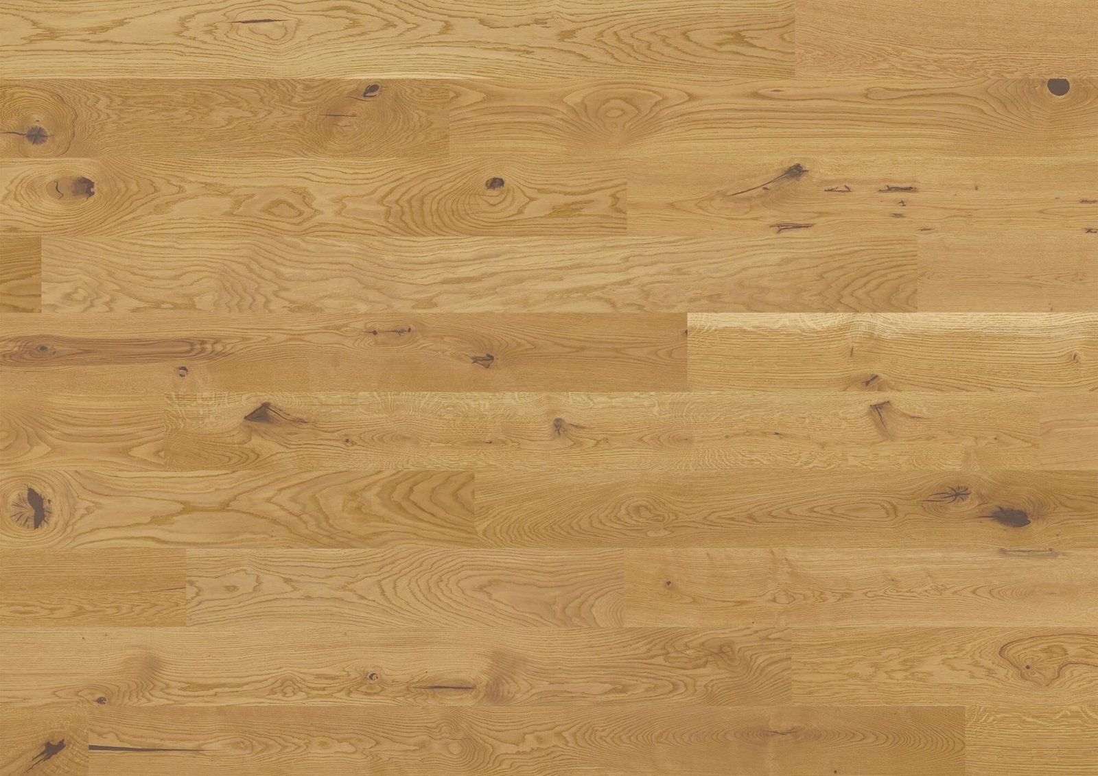 Studiopark | Chêne | Nature